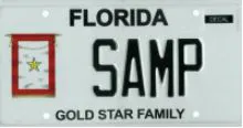 Florida Gold Star License Plate