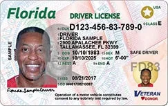 Florida Drivers License with Veteran designation