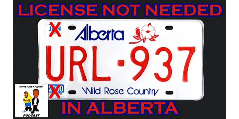 How do I get license plates in Alberta?