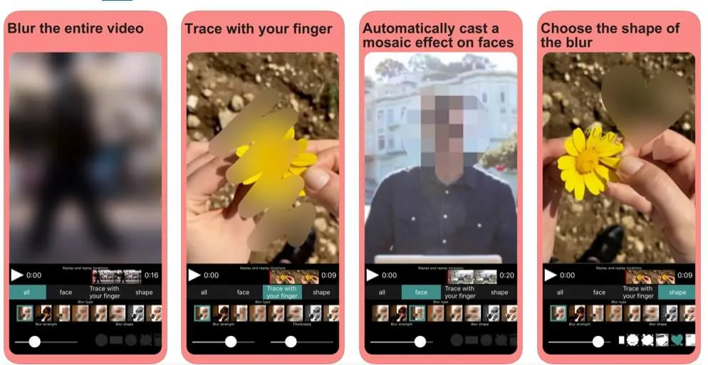 Video Mosaic App for iOS 