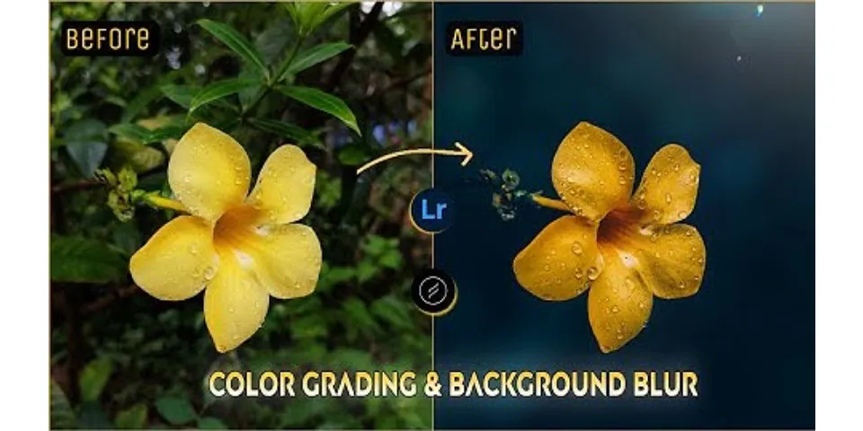 How to edit background in Lightroom