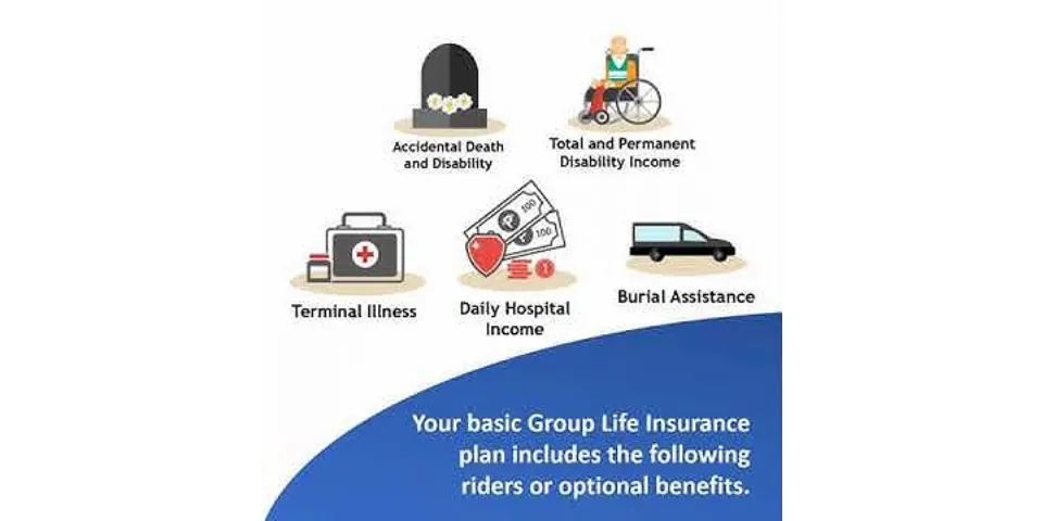 What are the characteristics of a group life insurance plan?