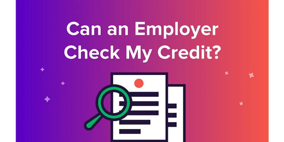 What does an employer credit check show