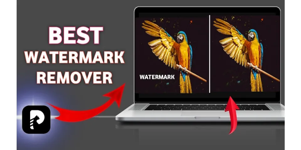 What is the best watermark remover?