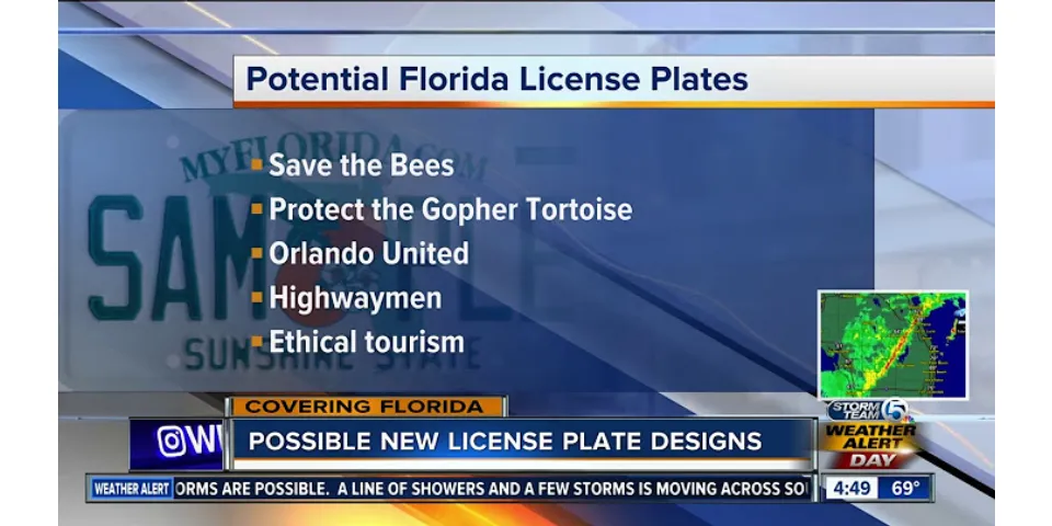 Why are there so many different license plates in Florida?
